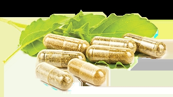 Who Do Capsule Fillers Benefit?